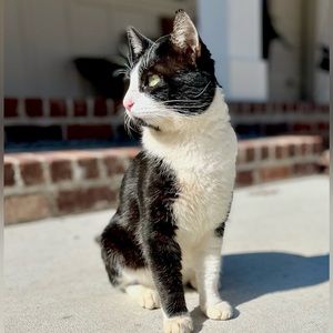 Meet your Posher, Madison